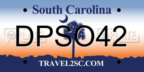 DPSO42 South Carolina License Plate