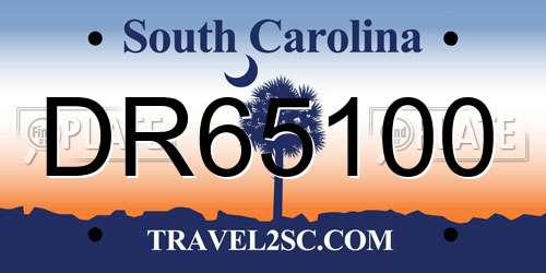 DR65100 South Carolina License Plate