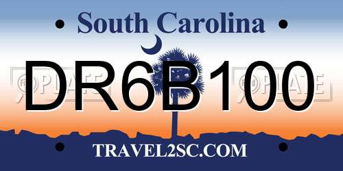 DR6B100 South Carolina License Plate