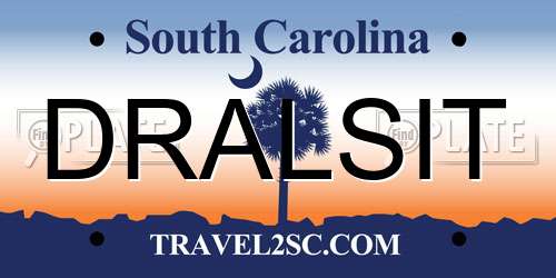 DRALSIT South Carolina License Plate
