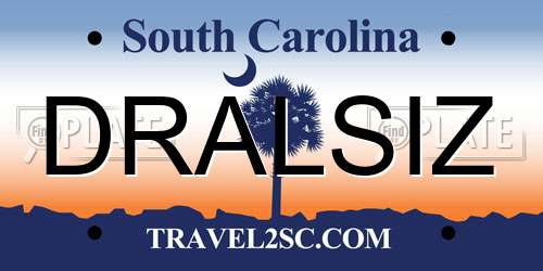 DRALSIZ South Carolina License Plate