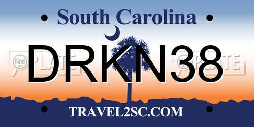 DRKN38 South Carolina License Plate