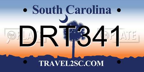 DRT341 South Carolina License Plate