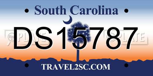 DS15787 South Carolina License Plate
