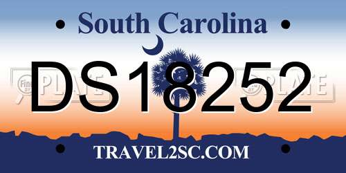 DS18252 South Carolina License Plate