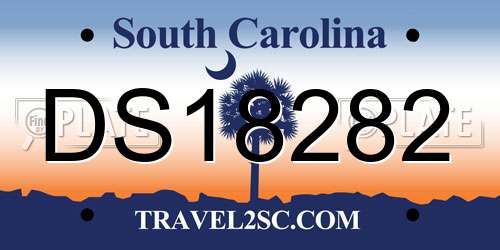 DS18282 South Carolina License Plate
