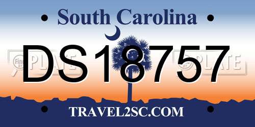 DS18757 South Carolina License Plate