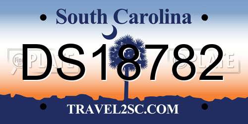 DS18782 South Carolina License Plate