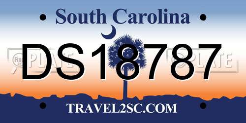 DS18787 South Carolina License Plate
