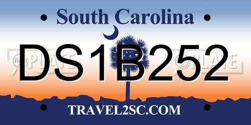 DS1B252 South Carolina License Plate