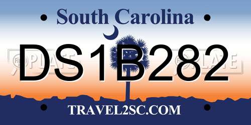 DS1B282 South Carolina License Plate