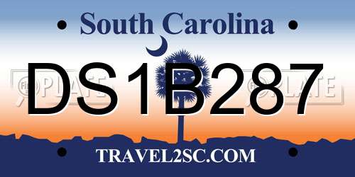 DS1B287 South Carolina License Plate