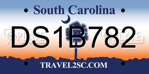 DS1B782 South Carolina License Plate