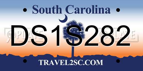 DS1S282 South Carolina License Plate