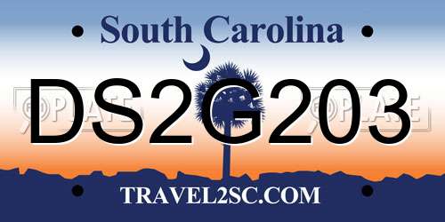 DS2G203 South Carolina License Plate