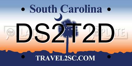 DS2T2D South Carolina License Plate