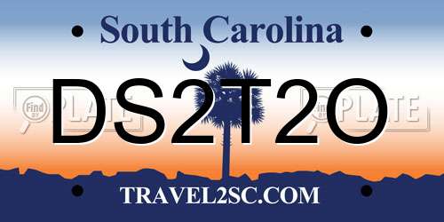 DS2T2O South Carolina License Plate
