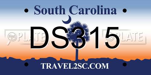 DS315 South Carolina License Plate