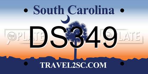 DS349 South Carolina License Plate