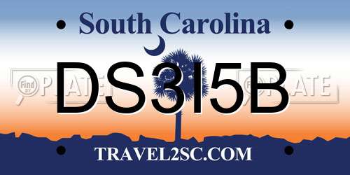 DS3I5B South Carolina License Plate
