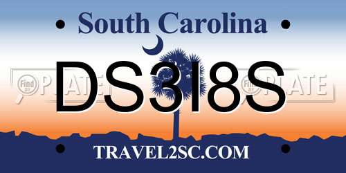 DS3I8S South Carolina License Plate