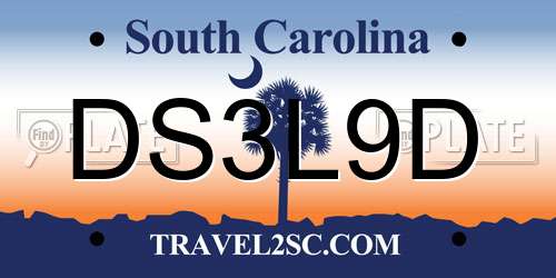 DS3L9D South Carolina License Plate