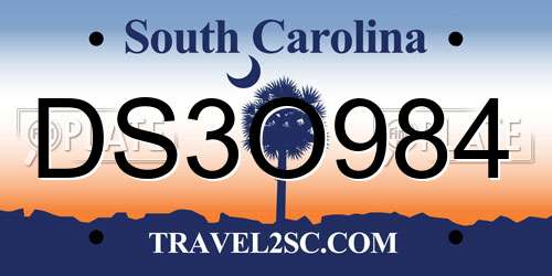 DS3O984 South Carolina License Plate