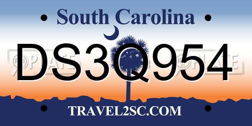 DS3Q954 South Carolina License Plate