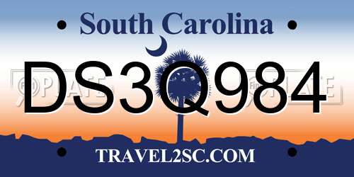 DS3Q984 South Carolina License Plate