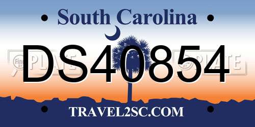 DS40854 South Carolina License Plate