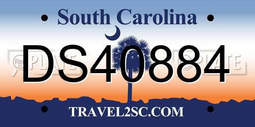 DS40884 South Carolina License Plate