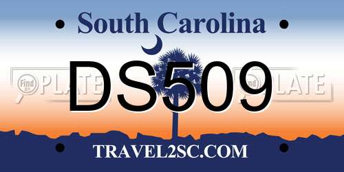 DS509 South Carolina License Plate