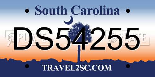 DS54255 South Carolina License Plate