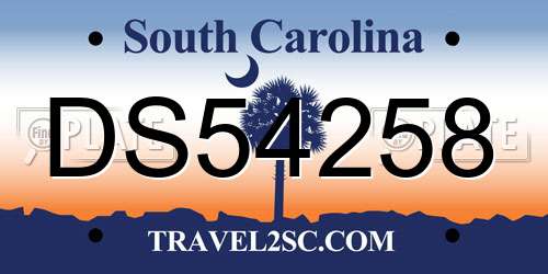 DS54258 South Carolina License Plate