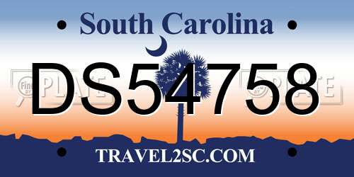 DS54758 South Carolina License Plate