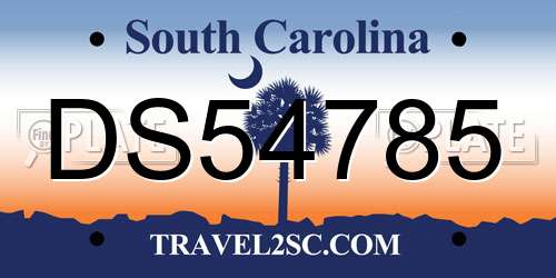 DS54785 South Carolina License Plate