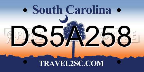 DS5A258 South Carolina License Plate