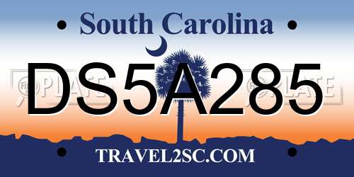 DS5A285 South Carolina License Plate
