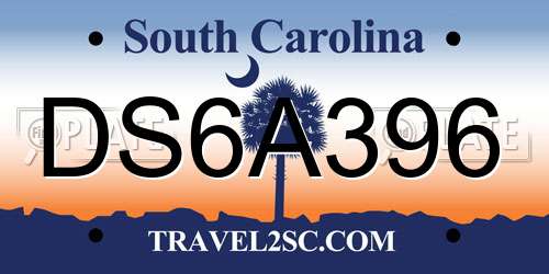 DS6A396 South Carolina License Plate