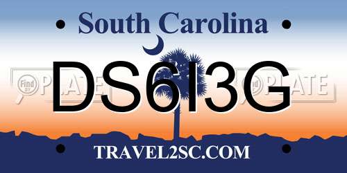 DS6I3G South Carolina License Plate