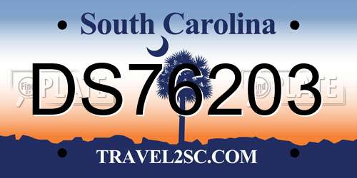 DS76203 South Carolina License Plate