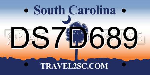 DS7D689 South Carolina License Plate