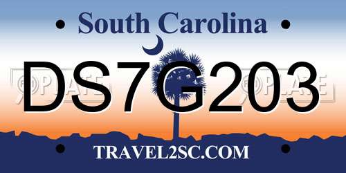 DS7G203 South Carolina License Plate