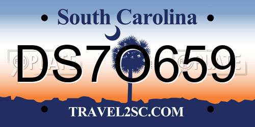 DS7O659 South Carolina License Plate