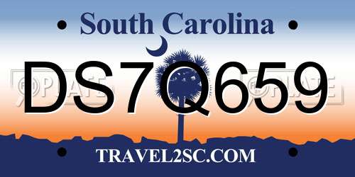 DS7Q659 South Carolina License Plate