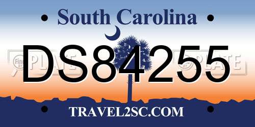 DS84255 South Carolina License Plate