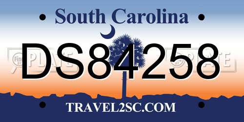 DS84258 South Carolina License Plate