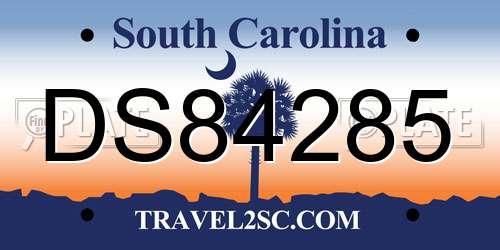 DS84285 South Carolina License Plate