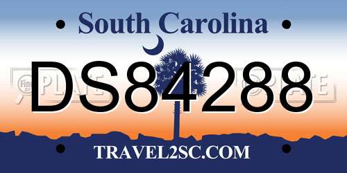 DS84288 South Carolina License Plate