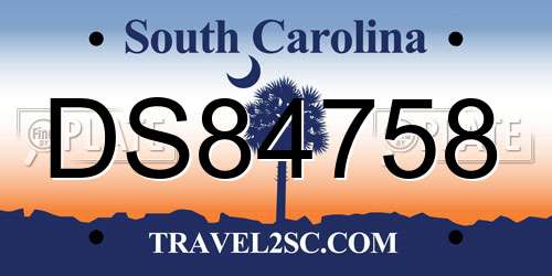 DS84758 South Carolina License Plate